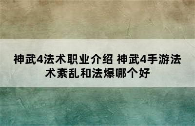 神武4法术职业介绍 神武4手游法术紊乱和法爆哪个好